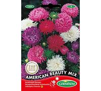 Germisem Graines Reine-marguerite Beauté d'Amérique AMERICAN BEAUTY MIX