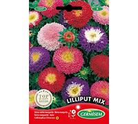 Germisem Graines Reine-marguerite LILLIPUT MIX