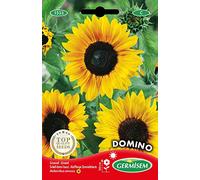 Germisem Graines Soleil demi-haut DOMINO