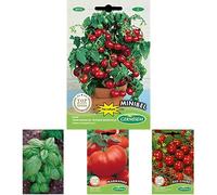 Germisem graines Tomate cerise pour pot MINIBEL+Genovese Graines de Basilic+Tomate MARMANDE+Red Cherry Graines de Tomate