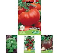 Germisem graines Tomate MARMANDE+Genovese Graines de Basilic+Tomate cerise pour pot MINIBEL+Tomate NOIRE DE CRIMEE