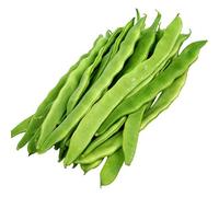 Germisem Helda Graines de Haricot à Rames 100 g