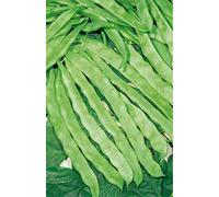 Germisem Helda Graines de Haricot à Rames 100 g EC1201 Multicolore