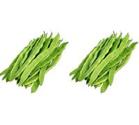 Germisem Helda Graines de Haricot à Rames 100 g (Lot de 2)