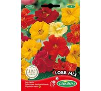 Germisem Lobb Mix Graines de Cresson Capucin 5 g EC1600 Multicolore