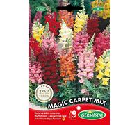 Germisem Magic Carpet Mix Graines de Snapdragon 0.8 g EC1503 Multicolore