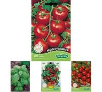 Germisem Moneymacker Graines de Tomate+Genovese Graines de Basilic+Tomate cerise pour pot MINIBEL+Red Cherry Graines de Tomate