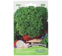 Germisem Mooskrause Graines de Persil 5 g EC7007 Multicolore