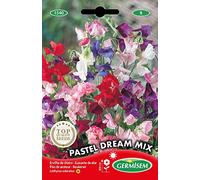 Germisem Pastel Dream Mix Graines de Pois Doux 1.5 g EC1540 Multicolore
