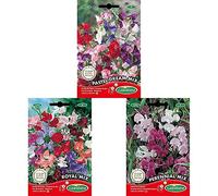 Germisem Pastel Dream Mix Graines de Pois Doux+Royal Mix Graines de Pois Doux+Graines Pois de senteur vivace varié