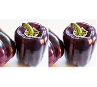 Germisem Poivron Doux Zulu (Lot de 2)