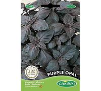 Germisem Purple Opal Graines de Basilic 2 g EC1103 Multicolore