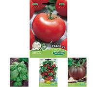 Germisem Pyros F1 Graines de Tomate+Genovese Graines de Basilic+Tomate cerise pour pot MINIBEL+Tomate NOIRE DE CRIMEE