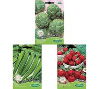 Germisem Rügen Graines de Fraises+Clemson Spineless Graines de Okra+Artichaut GROS VERT DE LAON