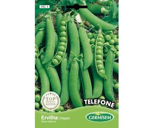 Germisem Telephone Graines de Pois 100 g XXL 3 Multicolore