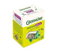 GERM'LINE - Germoir Bocal en Verre | Tout-en-Un : Trempage, Arrosage & Germination | Idéal pour Graines à Germer | Égouttoir Intégré | Fabrication Française