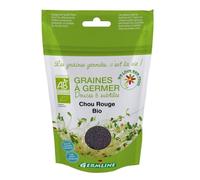 Graines à germer Chou rouge Germline