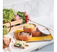 Germoir à graines en terre cuite