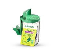 Germoir en verre - Kit de démarrage à l'unité