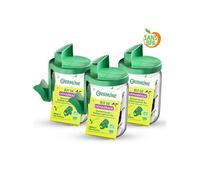 Germoir en verre - Kit de démarrage lot de 3