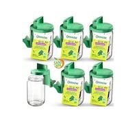 Germoir en verre - Kit de démarrage lot de 6