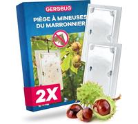 Gerobug Piège Phéromone Mineuse du Marronnier pour Surveillance - 2 Pièces | Surveillance de la Mineuse du Marronnier Sans Insecticide: Détecte le Début du Vol, 2 Pièges Discrets à Suspendre à l'Arbre