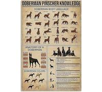 Geroclonup 30 x 40 cm Doberman Pinscher Knowledge Plaque en métal Doberman Langage corporel Maison Chambre à coucher Personnes Cave Salle de bain Salon Décoration murale rétro Poster Meilleur cadeau