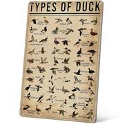 Geroclonup Décoration murale en métal vintage Canard colvert chasse décoration plaque en étain maison salle de bain chambre d'enfant panneau en métal Connaissance du canard 30 x 40 cm