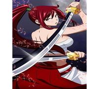 GerRit Kits de peinture de diamant 5d diy 5d pour adultes enfants,fairy tail, kits de broderie en diamant rond complet-40x50cm