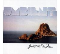 Gerrit Van der Meer - Umbient [Import]