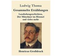 Gesammelte Erzählungen (Großdruck)