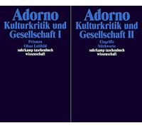 Gesammelte Schriften in 20 Bänden: Band 10: Kulturkritik und Gesellschaft. Prismen. Ohne Leitbild. Eingriffe. Stichworte. Anhang. 2 Bände