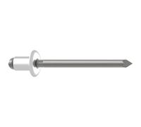 Gesipa 1433559 Rivet aveugle acier acier 500 pc(s)