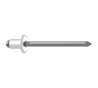 Gesipa 1433562 Rivet aveugle acier acier 250 pc(s)
