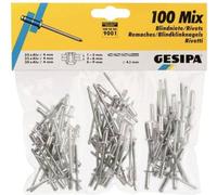 Gesipa 1433667 Rivet aveugle 100 parties