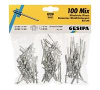 Gesipa 1433667 Rivet aveugle 100 parties