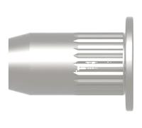Gesipa 1433709 Ecrou à sertir en aveugle M10 100 pc(s)