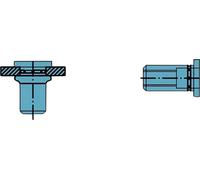 Gesipa Écrou à river PolyGrip® tige de rivet d x l 7 x 13,5 mm M5 acier inoxydable A2 t Quantité:500