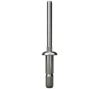 Gesipa 1433818 Rivet aveugle acier acier 100 pc(s)