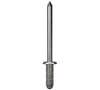 Gesipa 1450437 Rivet aveugle polyvalent acier acier 500 pc(s)