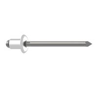 Gesipa 1454620 Rivet aveugle acier acier 250 pc(s)