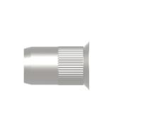 Gesipa 1455371 Ecrou à sertir en aveugle M8 100 pc(s)