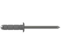 Gesipa Gesipa PolyGrip Rivets aveugles Alu/Nirosta 4,8 x 25 F RAL 9007 gris aluminium Quantité:250