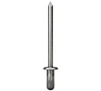 Gesipa Gesipa Rivets aveugles PolyBulb acier/acier tête plate 4,8 x 11 Quantité:250