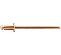 Gesipa 1538404 Rivet aveugle bronze cuivre 500 pc(s)