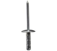 Gesipa 6704140 - mini-pack polygrip, aluminium, acier, 4.8 x 17 mm) [25 unités] - Argent