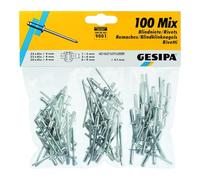 Gesipa Assortiment de 100 rivets aveugles en aluminium/acier de 4 mm de diamètre x 6 mm x 8 mm x 12 mm Rivets 1433667