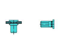 Gesipa Écrou à river PolyGrip® tige de rivet d x l 9 x 18 mm M6 acier inoxydable A2 têt Quantité:250