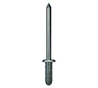 GESIPA Lot de 100 rivets aveugles en aluminium Ø 4 x 10 mm PolyGrip® | Épaisseur du matériau riveté : 0,5 à 6,5 mm | Rivets de qualité industrielle | Achetez des rivets creux des professionnels