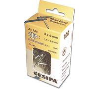 Gesipa Rivets aveugles Petit pack Alu/Acier 4 x 6 mm – Lot de 100 (6304230)